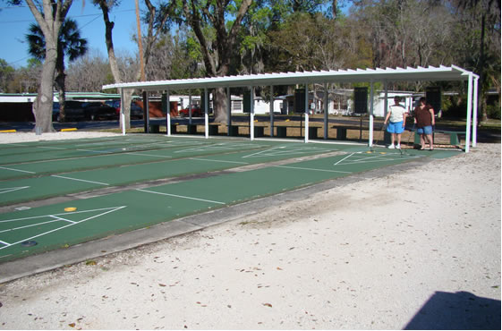 Shuffleboard